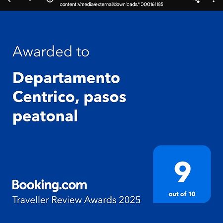 Appartamento Departamento Centrico, Pasos Peatonal Mendoza Esterno foto