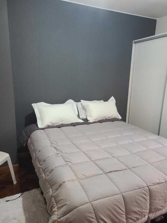 Appartamento Departamento Centrico, Pasos Peatonal Mendoza Esterno foto
